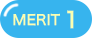 MERIT 1